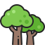 arvore