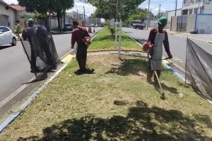 manutencao e limpeza de terrenos em campinas 1 manutencao e limpeza de terrenos em campinas 1
