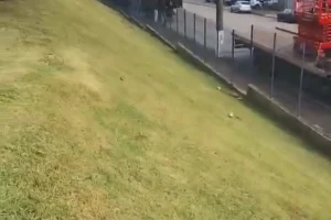 manutencao e limpeza de terrenos em campinas 10 manutencao e limpeza de terrenos em campinas 10