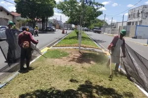 manutencao e limpeza de terrenos em campinas 3 manutencao e limpeza de terrenos em campinas 3