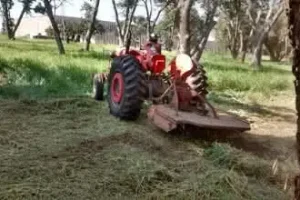 manutencao e limpeza de terrenos em campinas 7 manutencao e limpeza de terrenos em campinas 7